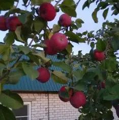 Продажа дома, 46 м2, посёлок Силикатный, А-295, 37-й километр