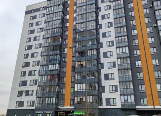 Продается однокомнатная квартира, 38 м2, Ленинградская область, улица Иоанна Кронштадтского, 7
