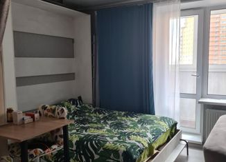 Продается квартира студия, 27 м2, Мурино, Новая улица, 7к3, ЖК Новое Мурино