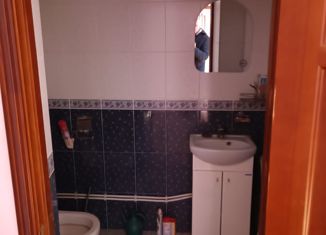 Сдаю в аренду дом, 200 м2, деревня Осеченки, Заречный тупик, 6