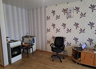 Продаю квартиру студию, 26 м2, деревня Хохряки, Тепличная улица, 32