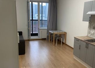 Продажа квартиры студии, 25 м2, Санкт-Петербург, 1-й Предпортовый проезд, 13, 1-й Предпортовый проезд