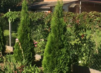 Дом на продажу, 119 м2, деревня Крутицы, деревня Крутицы, 26