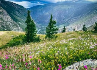 Продам участок, 3271 сот., село Беляши