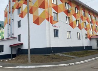 Квартира на продажу студия, 19 м2, деревня Хохряки, улица Петра Чайковского, 3