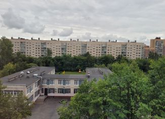 1-комнатная квартира на продажу, 28.8 м2, Санкт-Петербург, Купчинская улица, 17к2, метро Купчино