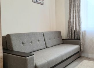 Сдам квартиру студию, 16 м2, Москва, 2-я улица Энтузиастов, 5к39, станция Шоссе Энтузиастов