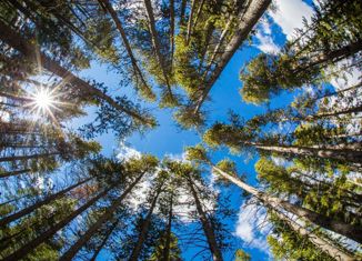 Продается земельный участок, 73 сот., деревня Василево, деревня Василёво, 9