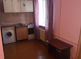 Продажа 1-комнатной квартиры, 24.5 м2, Кыштым, улица Юлии Ичевой, 150