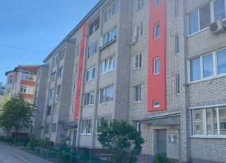 Продам двухкомнатную квартиру, 54.1 м2, Гусь-Хрустальный, улица Чайковского, 17