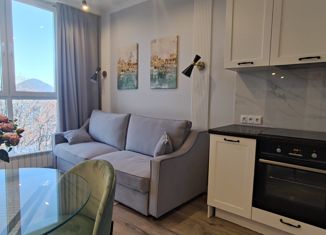 Продается 1-ком. квартира, 35 м2, Сочи, улица Яна Фабрициуса, 2/23Мк2, микрорайон Яна Фабрициуса