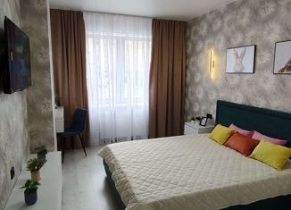 Продаю 1-комнатную квартиру, 40 м2, деревня Портянниково, Александровский проезд, 6