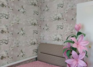 Продается дом, 60 м2, село Нижняя Омка, Советская улица, 12