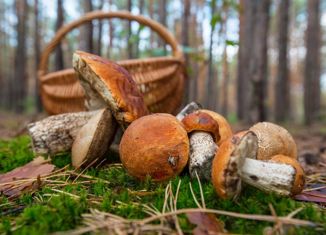 Земельный участок на продажу, 10.4 сот., коттеджный посёлок Волжские рассветы