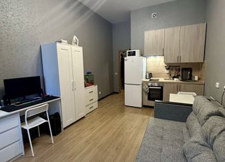 Продаю квартиру студию, 24.3 м2, Колпино, улица Севастьянова, 28к1
