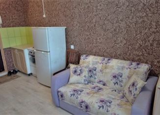 Квартира на продажу студия, 23 м2, Москва, улица Докукина, 11с1, район Ростокино