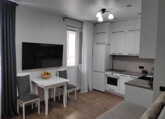 1-ком. квартира на продажу, 26 м2, Казань, Тэцевская улица, 4А, Авиастроительный район