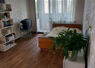 Продается 1-комнатная квартира, 33.9 м2, Нижний Новгород, улица Дружбы, 19, улица Дружбы