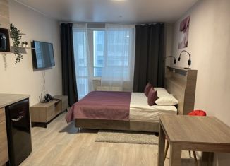 Продаю квартиру студию, 29.6 м2, Санкт-Петербург, Детский переулок, 2, метро Московские ворота