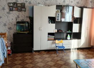 1-комнатная квартира на продажу, 31 м2, рабочий посёлок Шипицыно, улица Павла Кожина, 66