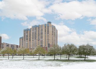 Продаю 3-комнатную квартиру, 108.4 м2, Санкт-Петербург, Российский проспект, 8, Российский проспект