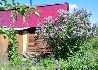 Продам дом, 40 м2, деревня Быковка, деревня Быковка, 2/53