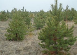 Продажа участка, 6.5 сот., ДНП УК Усадьба, Александрийская улица