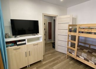 1-комнатная квартира на продажу, 34.1 м2, деревня Зверево, Вышгородская улица, 16