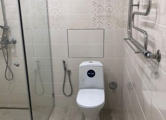 Двухкомнатная квартира на продажу, 43 м2, Менделеевск, Юбилейная улица, 1