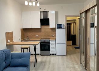 Продам квартиру студию, 25.68 м2, Санкт-Петербург, метро Старая Деревня, Торфяная дорога, 17к2