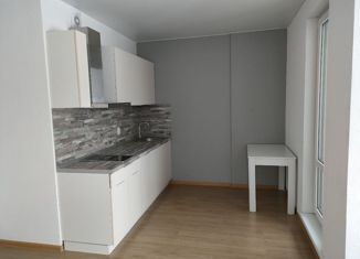 Продам квартиру студию, 28 м2, Санкт-Петербург, улица Фёдора Котанова, 13к1, улица Фёдора Котанова