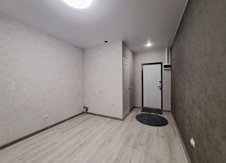 Продается квартира студия, 17 м2, Санкт-Петербург, Литейный проспект, 24, метро Гостиный двор