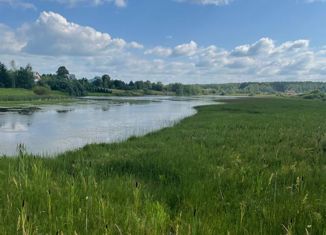 Земельный участок на продажу, 19.3 сот., деревня Алексеевка