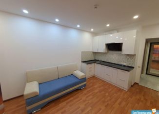 Продажа квартиры студии, 21 м2, Москва, улица Маршала Малиновского, 9, улица Маршала Малиновского