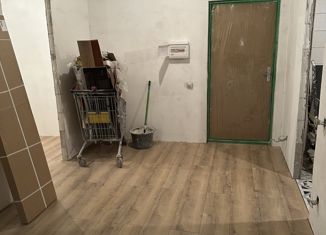 Продается 1-ком. квартира, 53 м2, Мурино, улица Шоссе в Лаврики, 67, ЖК Муринское-1