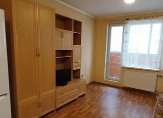 Продаю квартиру студию, 26.2 м2, Санкт-Петербург, Первомайская улица, 5к2