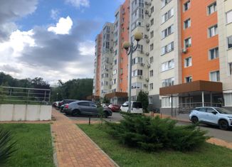 2-ком. квартира на продажу, 45 м2, село Раздольное, Тепличная улица, 83