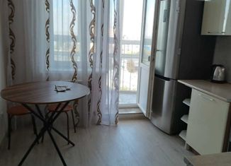 Сдам в аренду 1-ком. квартиру, 45 м2, Белгород, улица Некрасова, 28