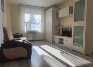Продажа 1-комнатной квартиры, 30 м2, Петропавловск-Камчатский, улица Виталия Кручины, 4/3, микрорайон Северо-Восток