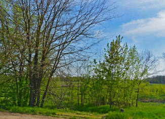 Продаю участок, 9.62 сот., село Орехово