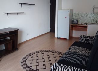 Аренда квартиры студии, 32 м2, Санкт-Петербург, улица Катерников, 7, улица Катерников