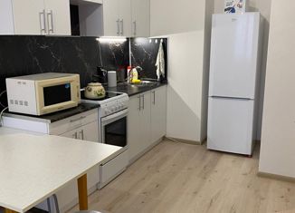 Аренда 1-комнатной квартиры, 35 м2, деревня Анкудиновка