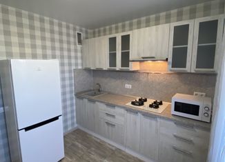 Однокомнатная квартира в аренду, 40 м2, деревня Борисовичи, Венская улица, 8, ЖК Европа