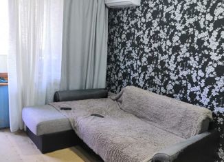 1-комнатная квартира на продажу, 27.2 м2, Лесозаводск, улица Королёва, 4