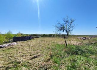 Продается участок, 25 сот., село Нижние Прыски