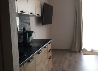 Продаю квартиру студию, 27.8 м2, Пермь, Сапфирная улица, 14, ЖК Погода