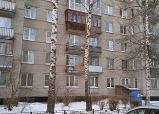 2-комнатная квартира на продажу, 47 м2, Санкт-Петербург, улица Тамбасова, 28, муниципальный округ Константиновское