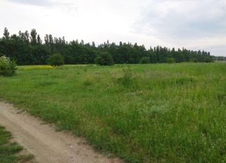 Продается земельный участок, 20 сот., станица Старокорсунская, Красная улица