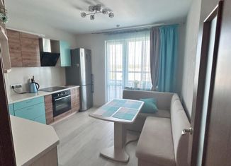 Продается 2-комнатная квартира, 57 м2, Санкт-Петербург, улица Корнея Чуковского, 3к3, улица Корнея Чуковского