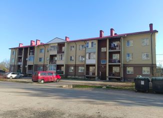Трехкомнатная квартира на продажу, 56.1 м2, поселок городского типа Крестцы, переулок Некрасова, 8/1